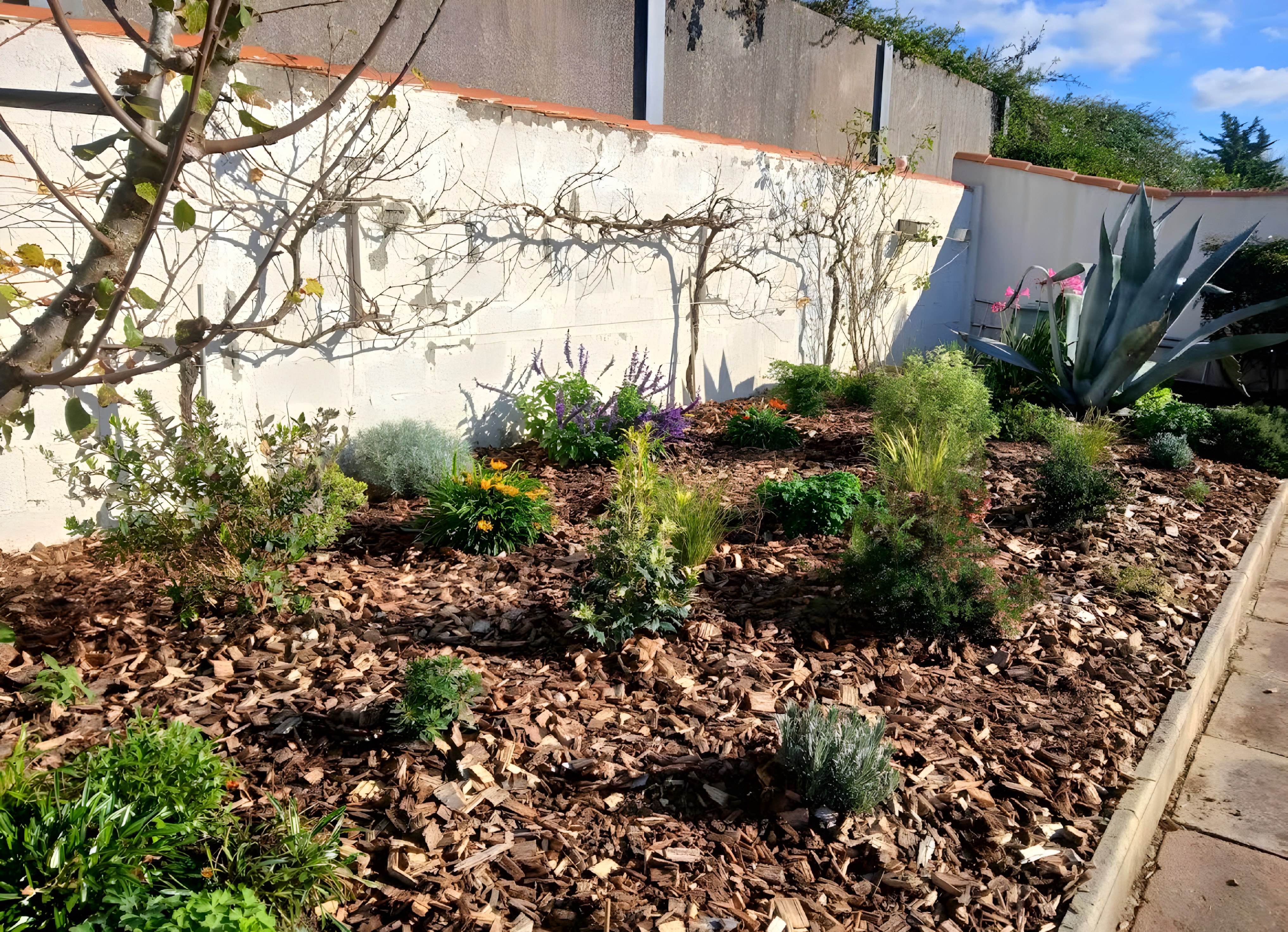 Réalisation jardin Maxence Lagord