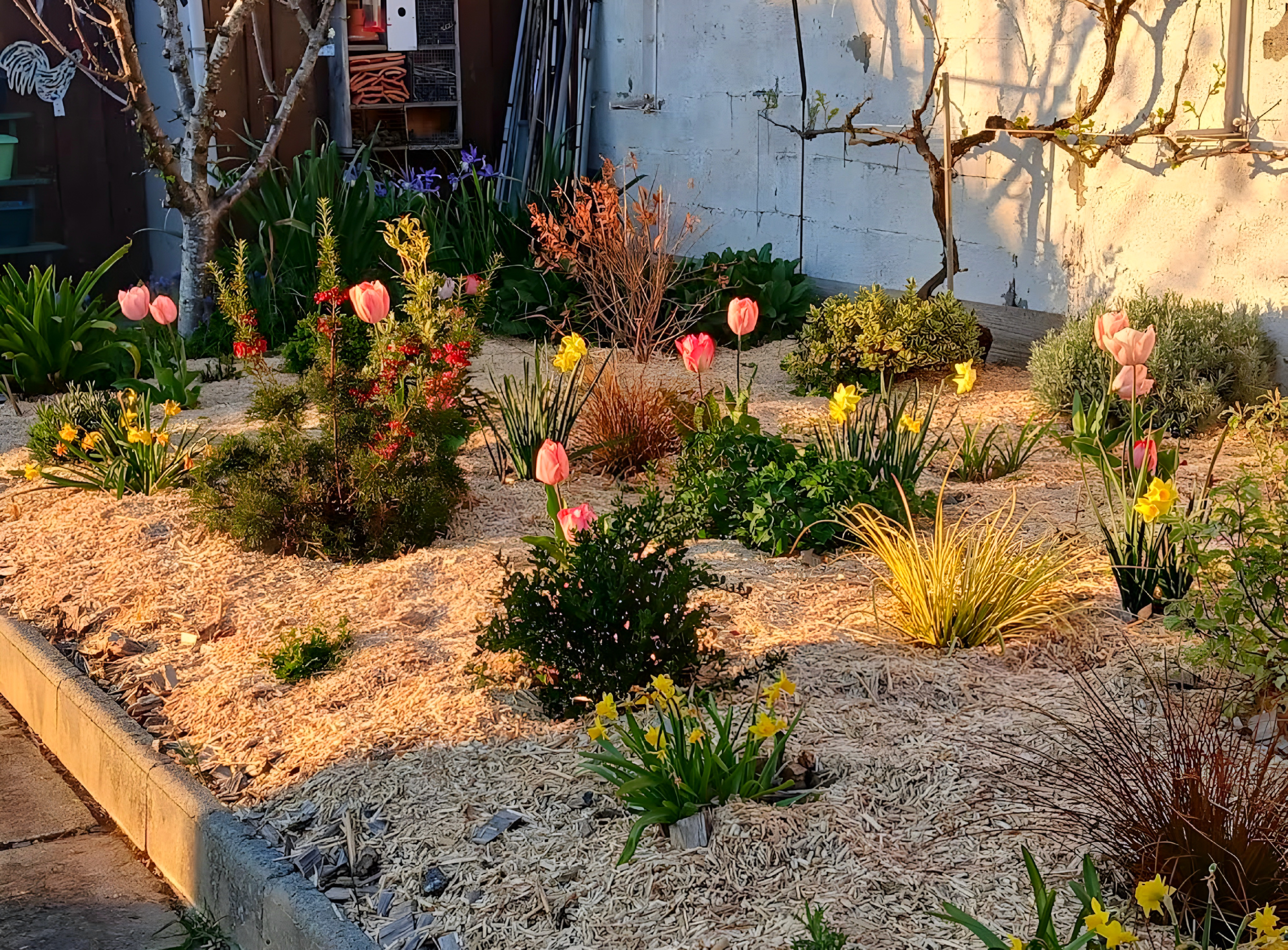 Taille et entretien jardin La Rochelle