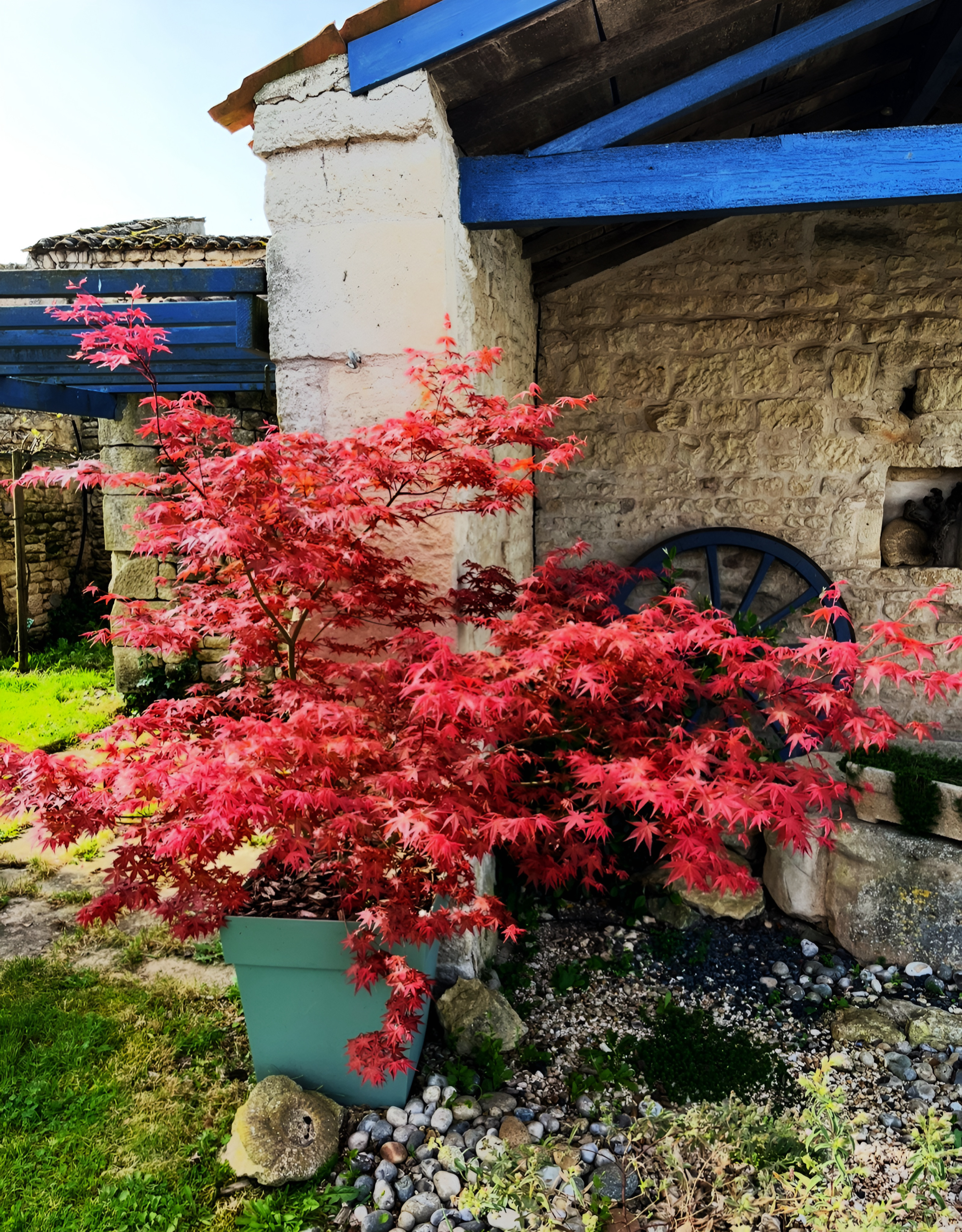 Création jardin paysager Charente-Maritime