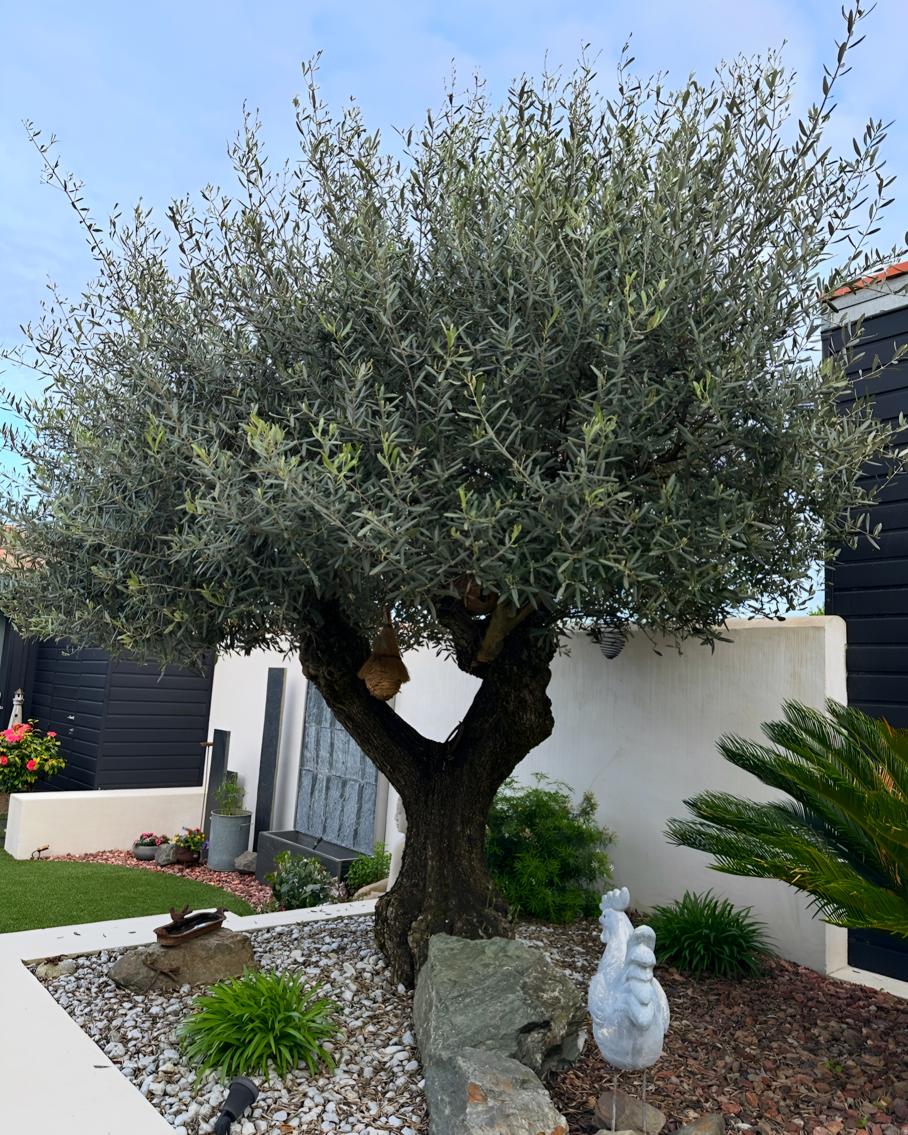 Jardin entretenu Main Verte Lagord