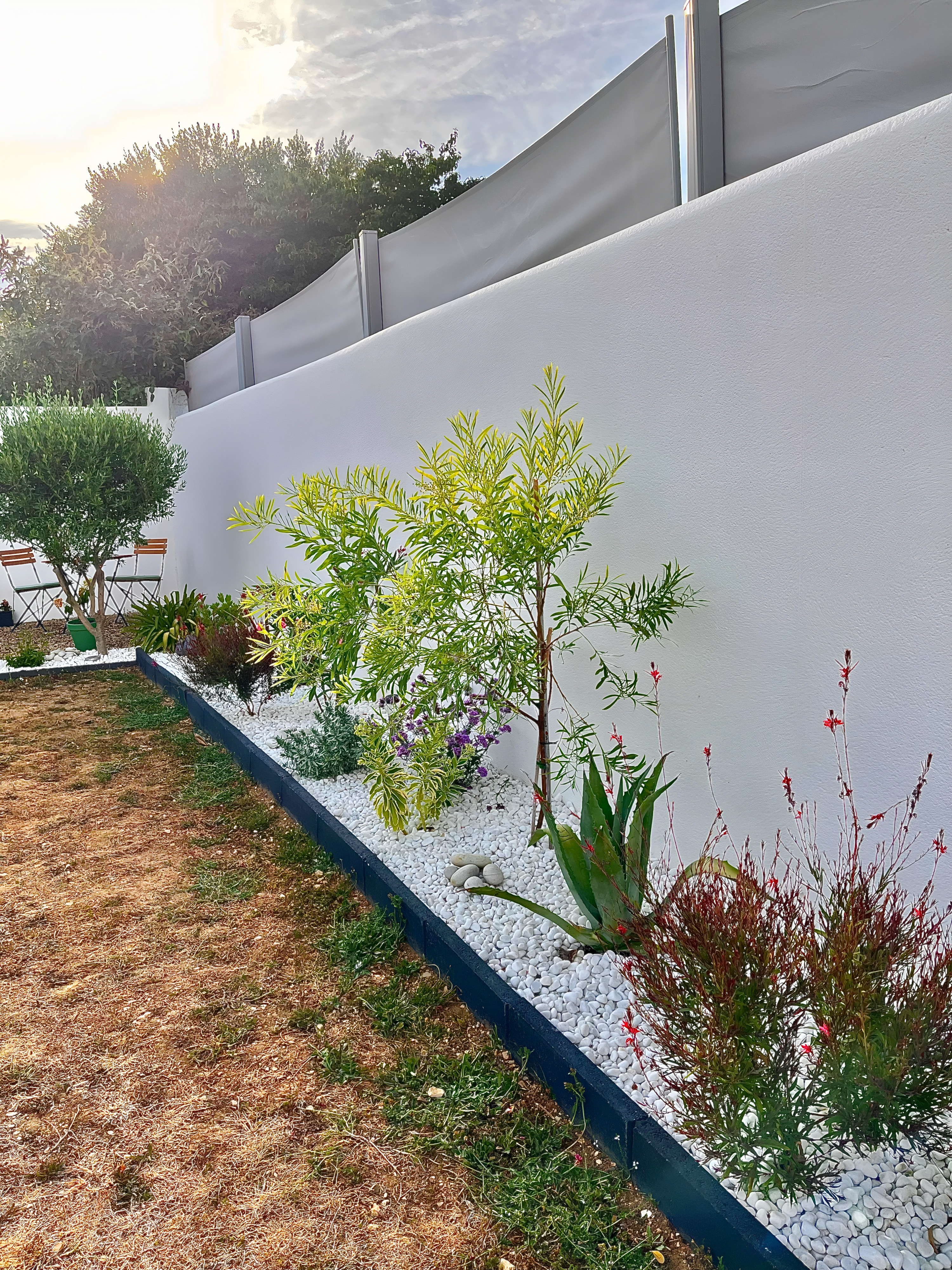 Jardin aménagé taille haies La Rochelle