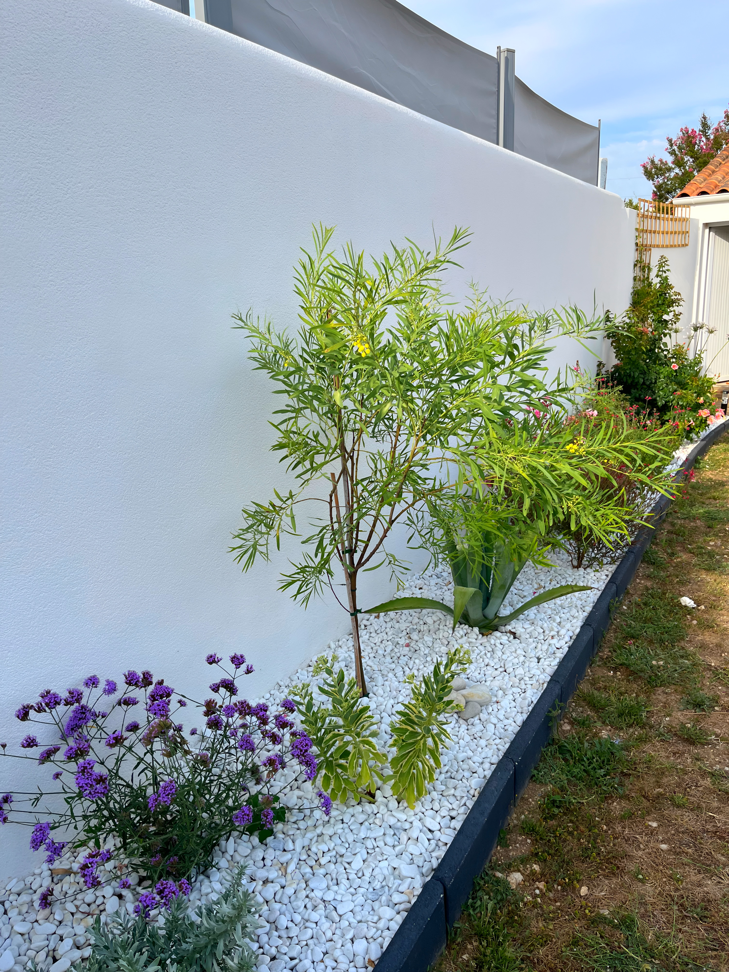 Entretien massif jardin paysagiste