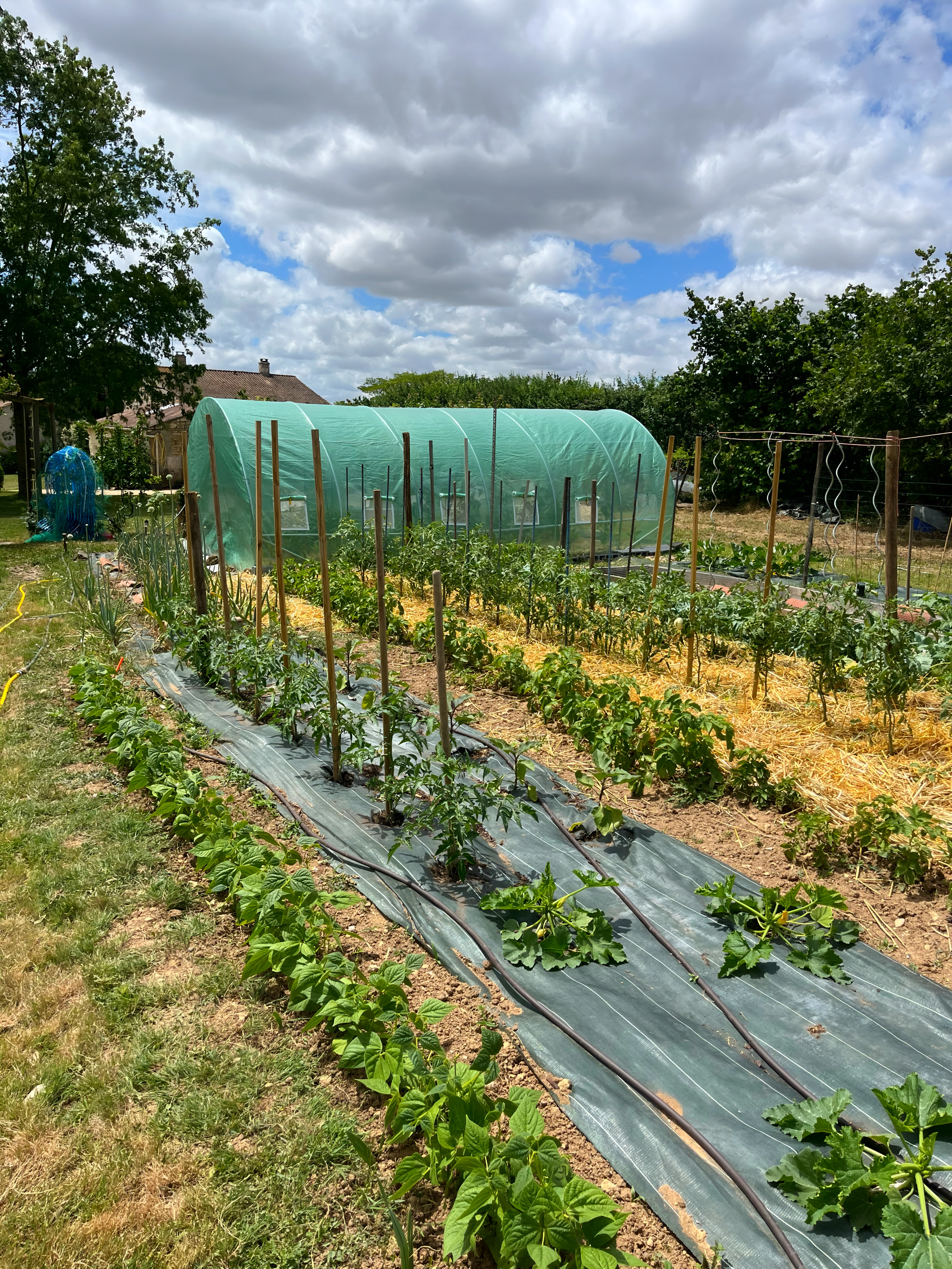 Entretien de jardin La Rochelle