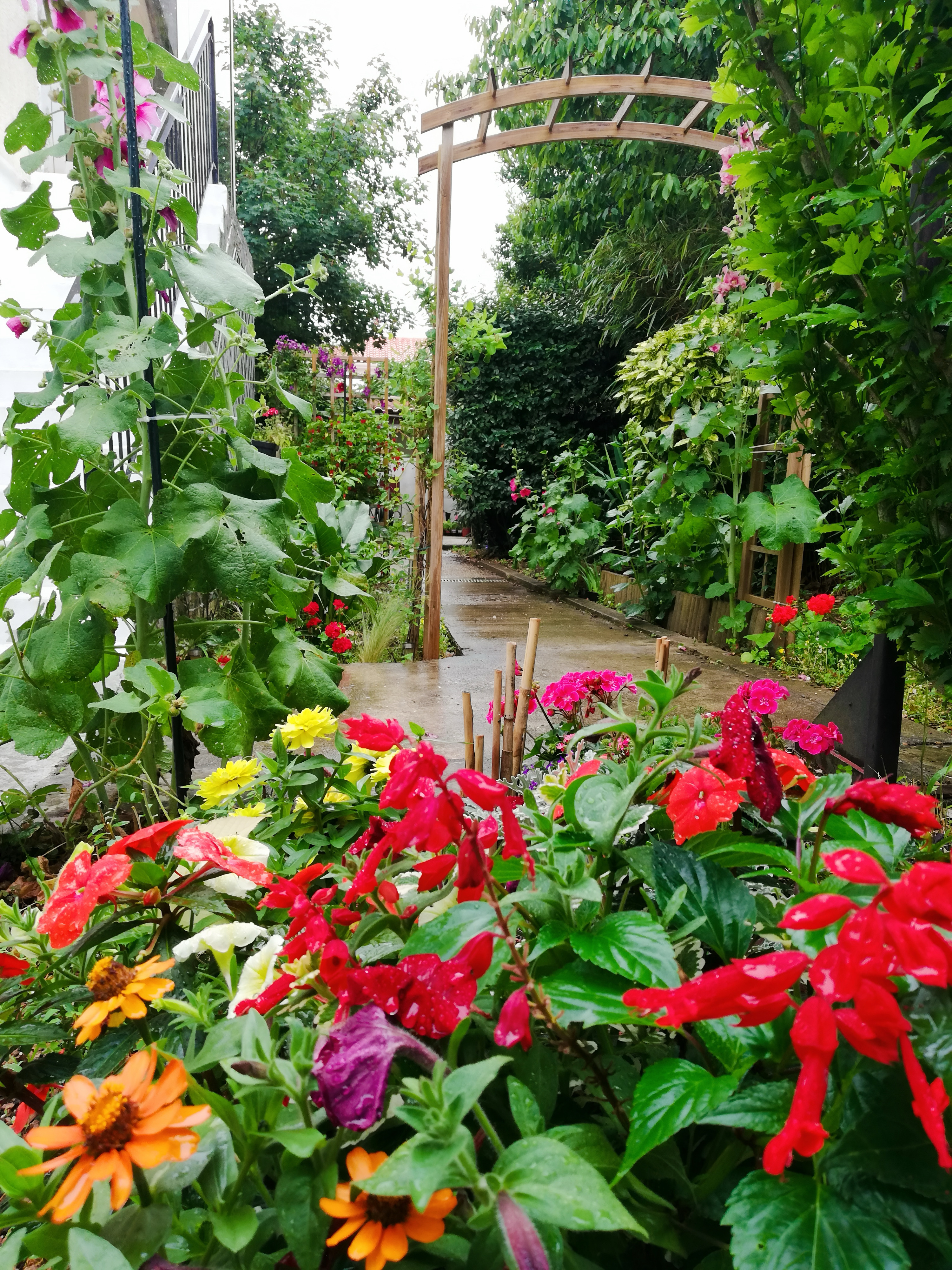 Jardin soigné par Maxence à Lagord